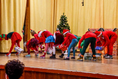DSC_0700_resize