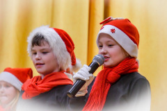 DSC_0711_resize
