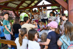 DSC_5091_resize