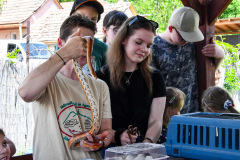 DSC_5095_resize