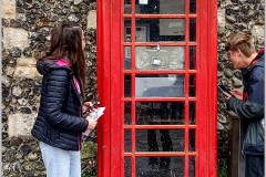03-A-hires-angliai-telefonfulke_InPixio
